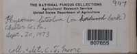 Image Associated With the Occurence